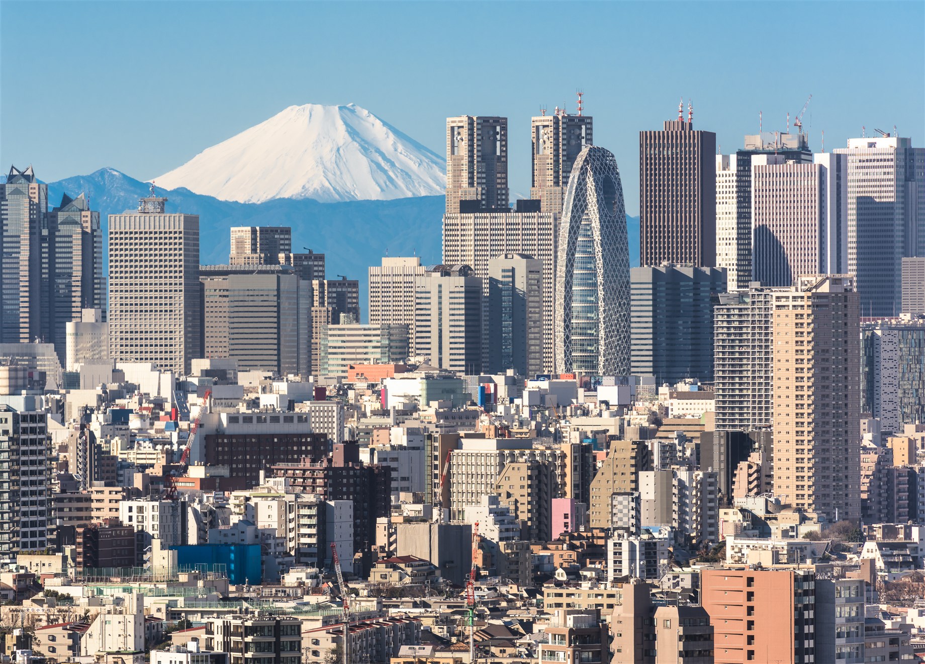 Mount Fuji