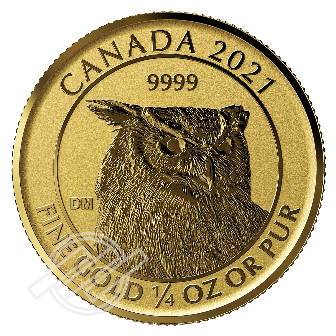 2021_Gold_GreatHornedOwl_Front_Watermarked