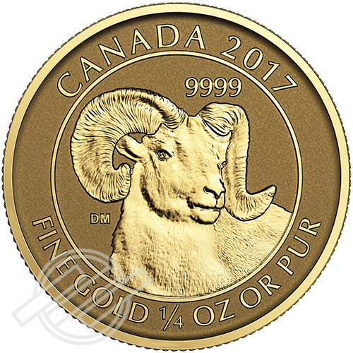 bighorn-gold_back big horn gold back