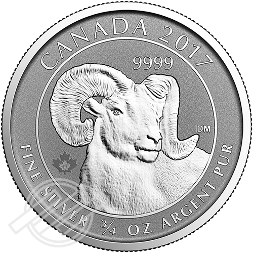 bighorn-silver_back