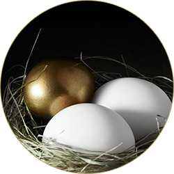 gold-egg-icon